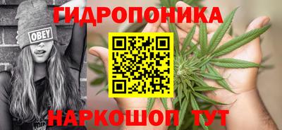 гидра Нальчик