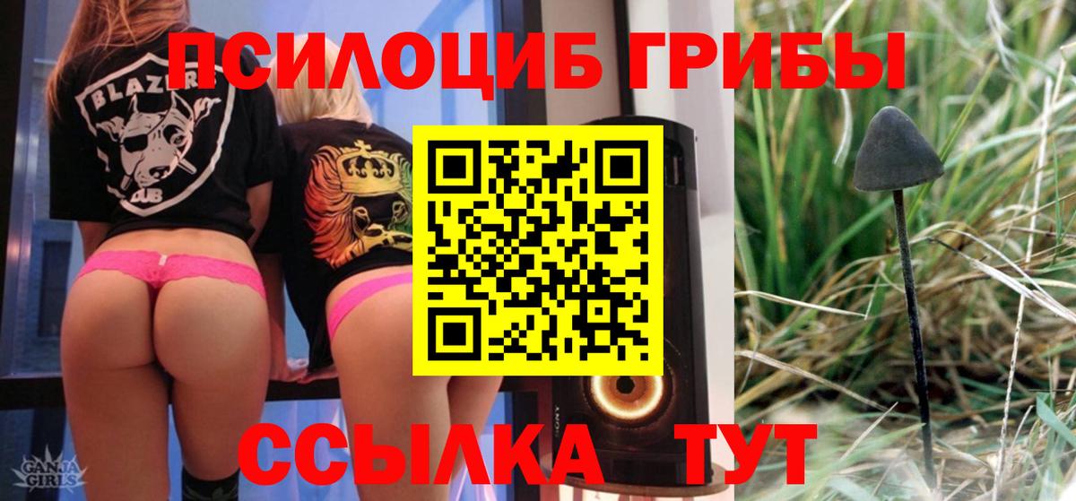 Алексин  Галлюциногенные грибы ЛСД  Вход с VPN 