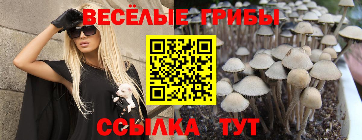 Псилоцибиновые грибы Magic Shrooms Алексин